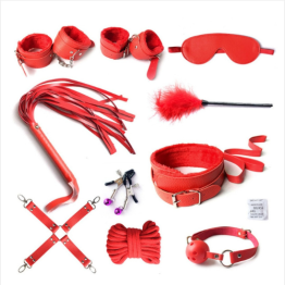 BDSM 10 PIECE SET (RED)