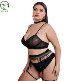 European and American Style plus size Sexy Mesh Sexy Underwear Wear Sling Inside and Outer