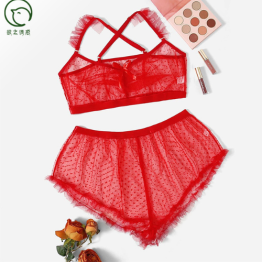 Transparent embrodery bikini set PLUS SIZE